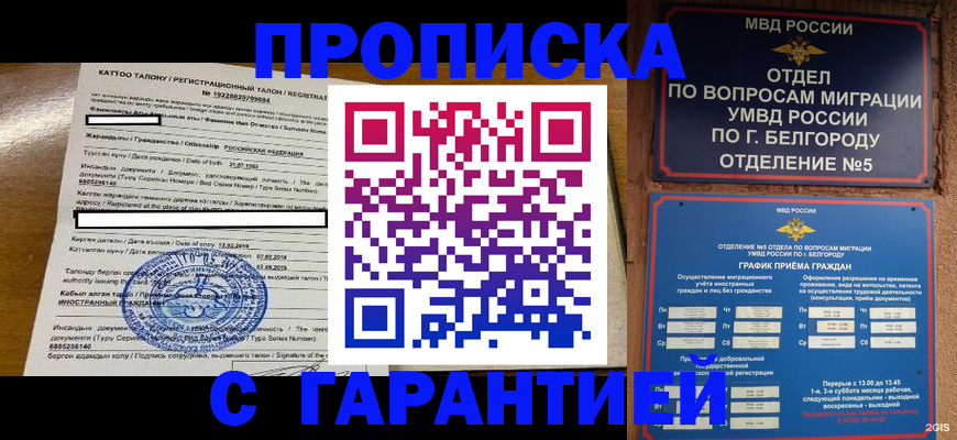 регистрация в Курской области