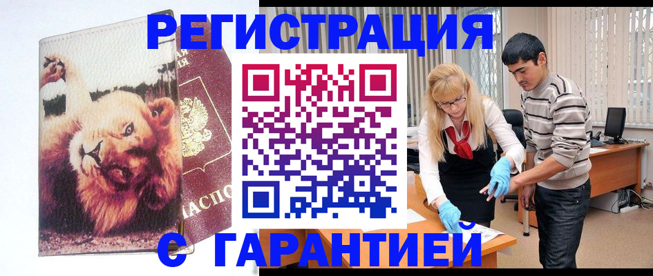 временная регистрация поиск в Курской области